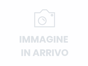Ford Mustang Mach E Ambrostore Elettrica Travel