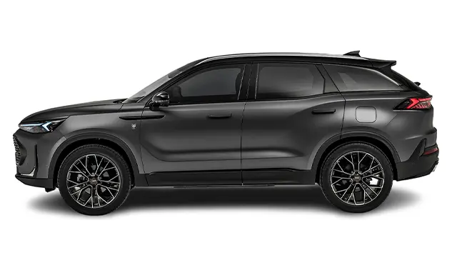 Tiger Eight Ambrostore Modello Promo Black