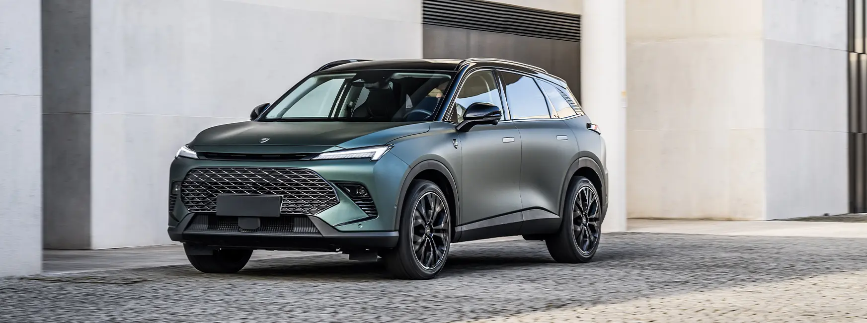 Ambrostore Tiger Six Banner Home Page Milano Auto Gamma 650Px