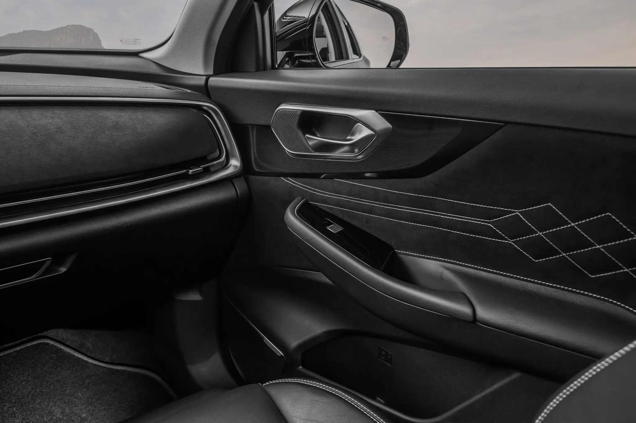 Portiera Interni Tiger Eight Ambrostore Concessionaria Ufficiale Milano