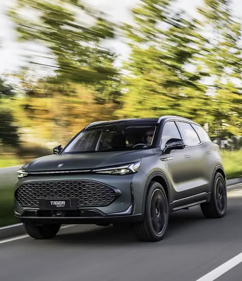 Tiger Eight Ambrostore Milano Concessionario Promozione (1)