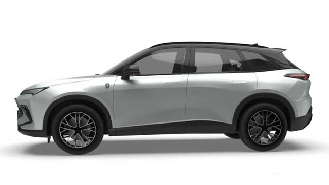 Tiger Six Ambrostore Modello Promo